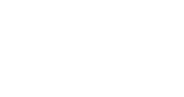 Choice 1 Services White Logo with Transparent Background
